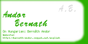 andor bernath business card
